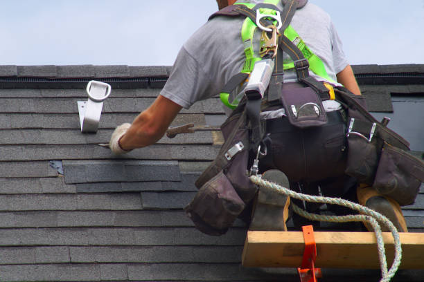 Best Roof Gutter Cleaning  in Hilton, NY