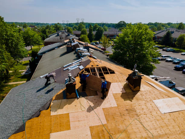Best Gutter Installation and Roofing  in Hilton, NY