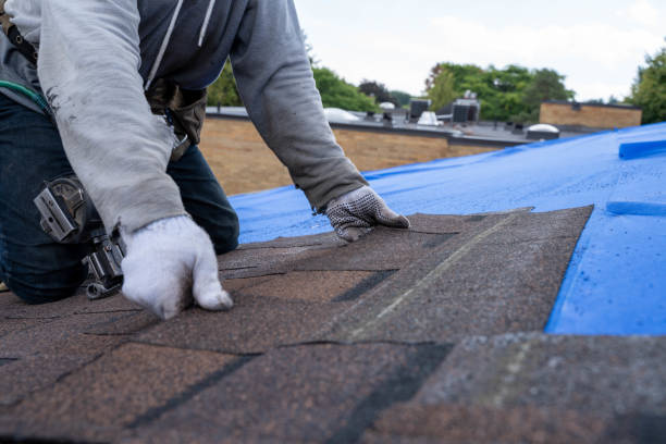Best Local Roofing Companies  in Hilton, NY