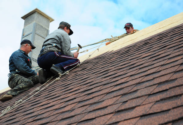Best Tile Roofing Contractor  in Hilton, NY